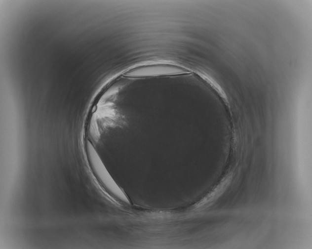 X0000111120797200908111018
