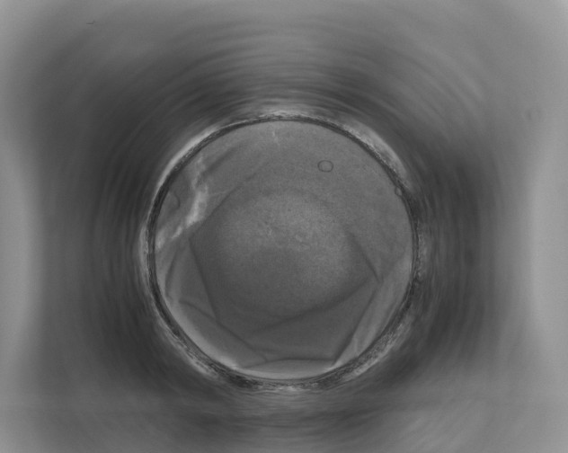 X0000111120798200908111018