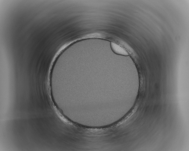 X0000111120800200908111018