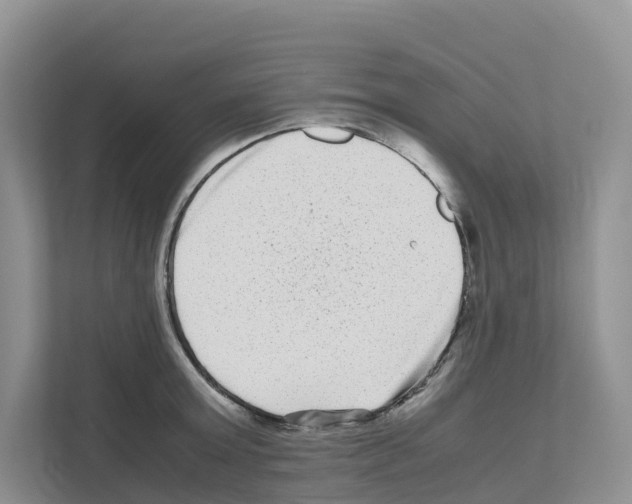 X0000111120803200908111018