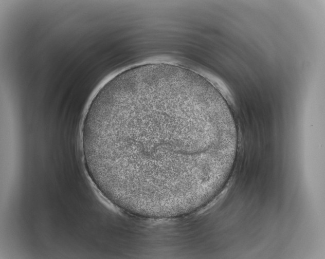 X0000111120808200908111018