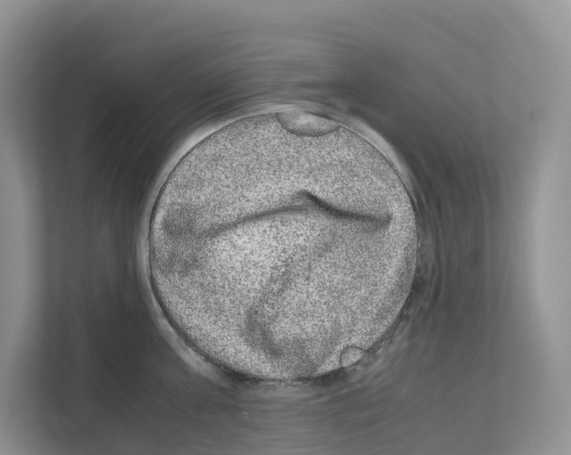 X0000111120811200908111018