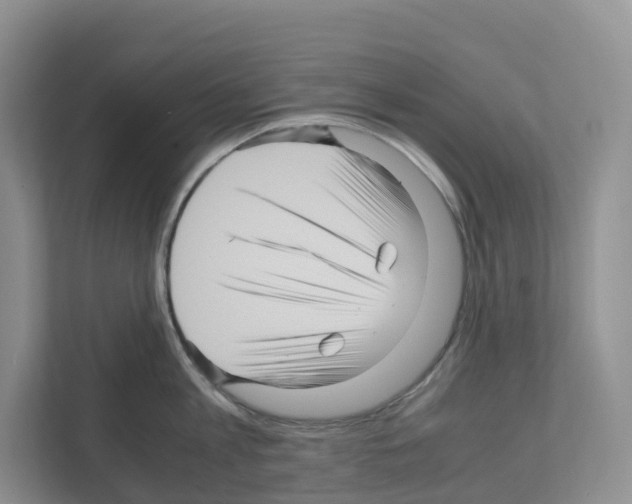 X0000111120813200908111018