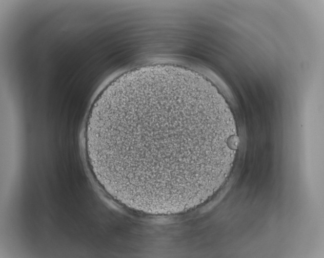 X0000111120814200908111018