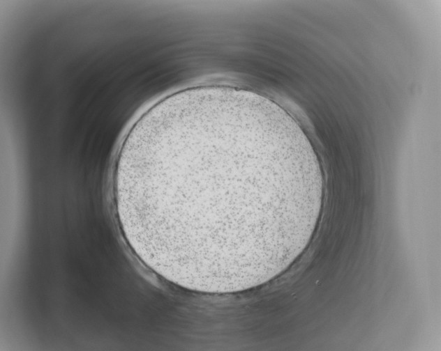X0000111120816200908111018