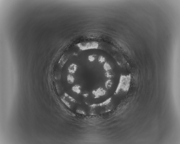 X0000111120817200908111017