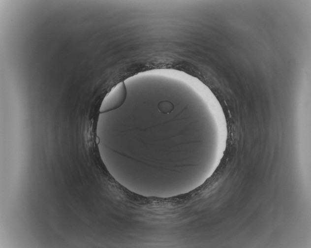 X0000111120818200908111017