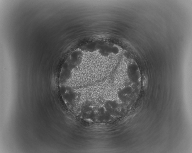 X0000111120819200908111017