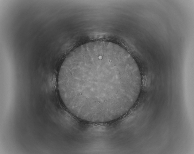 X0000111120820200908111017