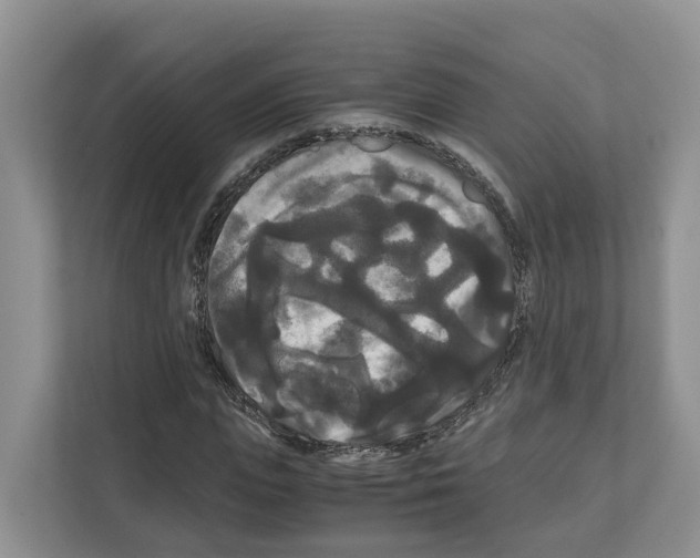 X0000111120823200908111017