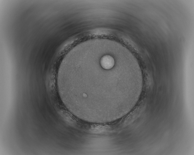 X0000111120824200908111017