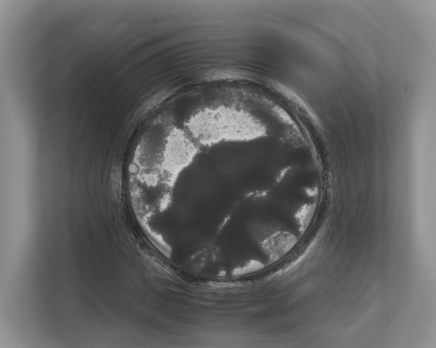 X0000111120825200908111017