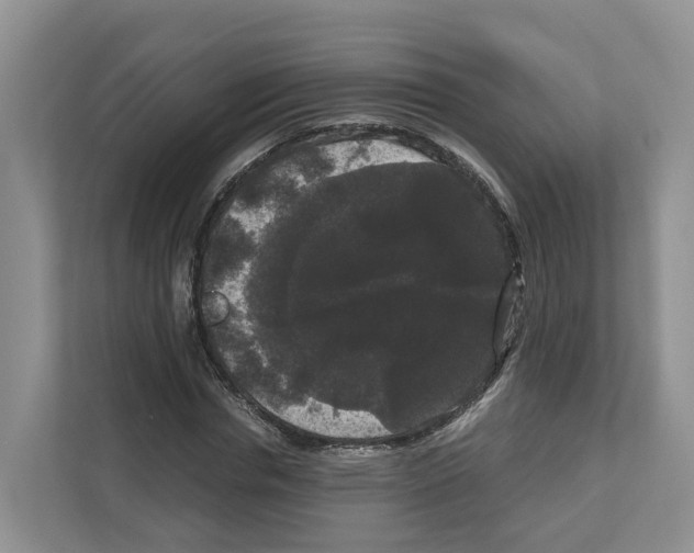 X0000111120826200908111017