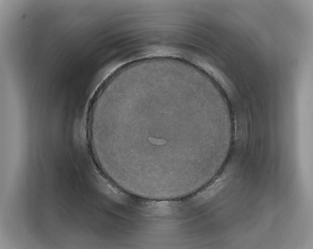 X0000111120828200908111017