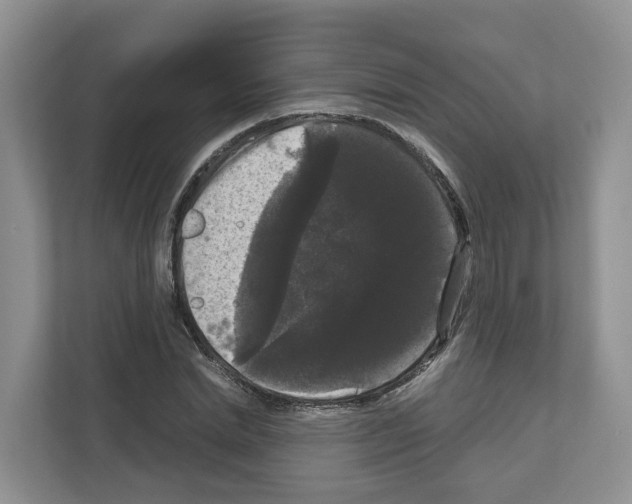 X0000111120830200908111017