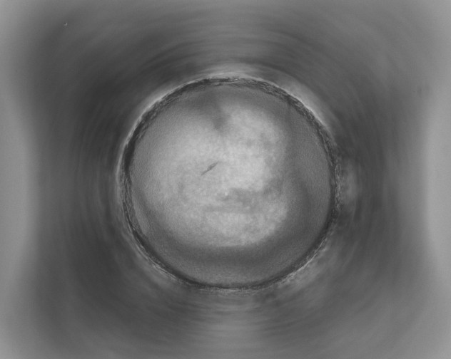 X0000111120832200908111017