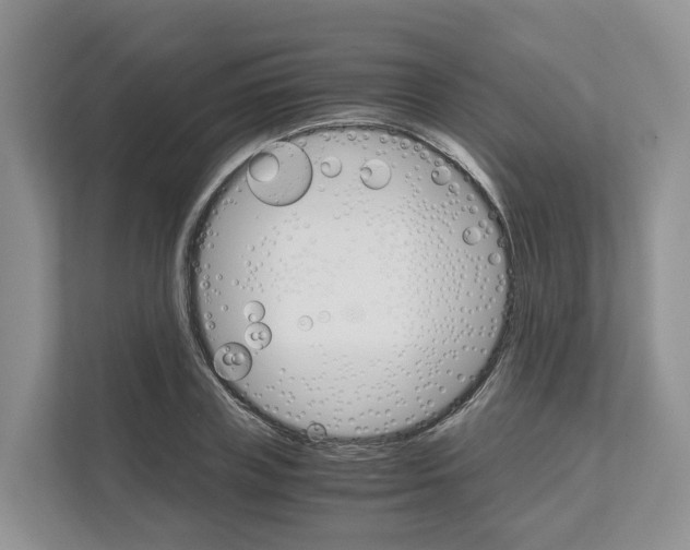 X0000111120835200908111017