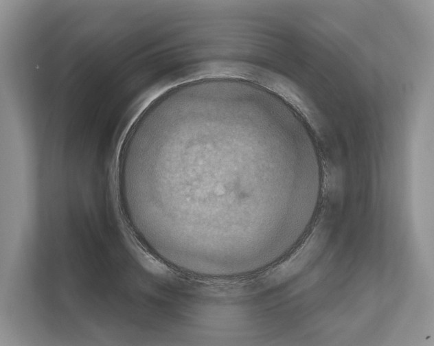 X0000111120836200908111017