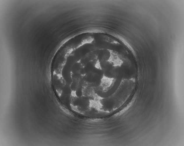 X0000111120837200908111017
