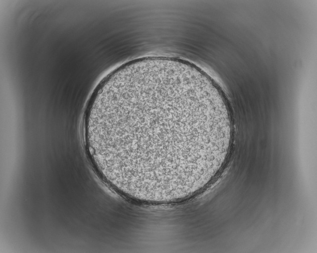 X0000111120838200908111017