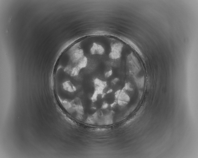 X0000111120839200908111017