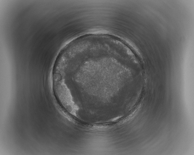 X0000111120840200908111017