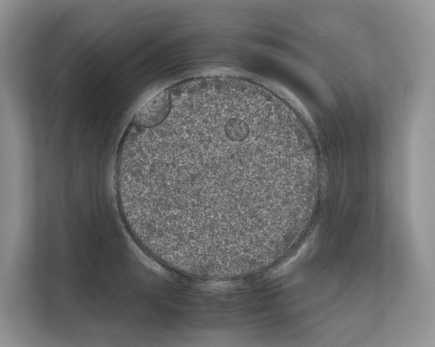 X0000111120847200908111017
