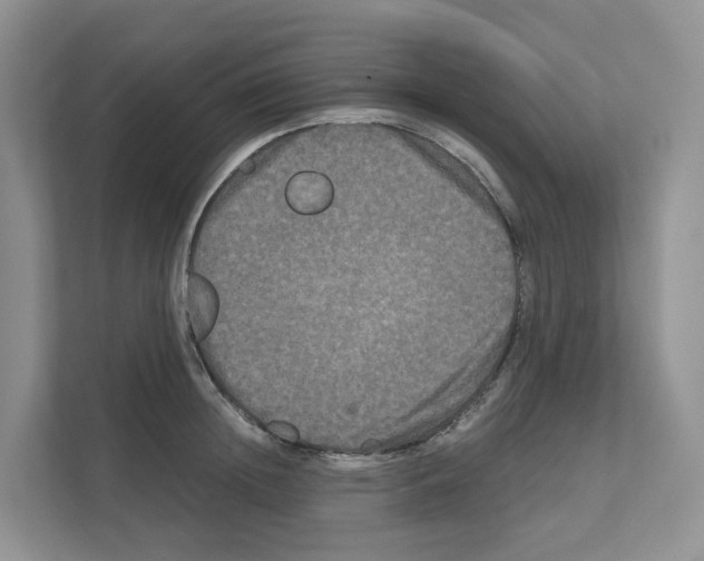 X0000111120852200908111017