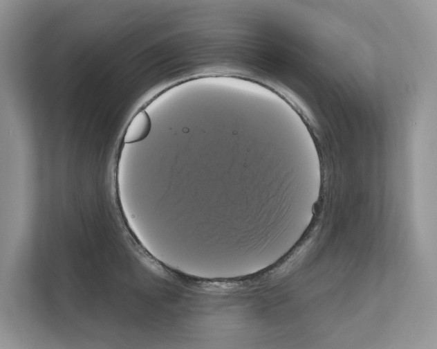 X0000111120854200908111017