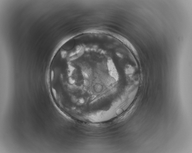 X0000111120855200908111017