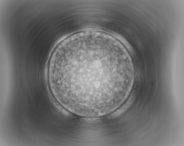 X0000111120856200908111017