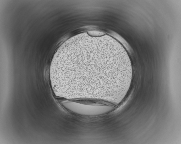 X0000111120857200908111017