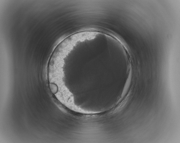 X0000111120858200908111017