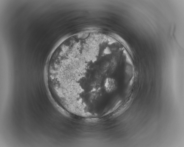 X0000111120859200908111017