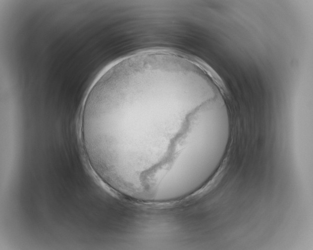X0000111120860200908111017