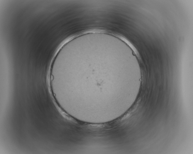 X0000111120861200908111017