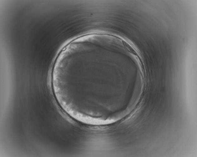 X0000111120862200908111017