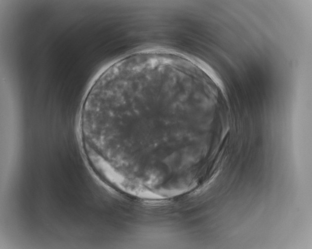 X0000111120863200908111017