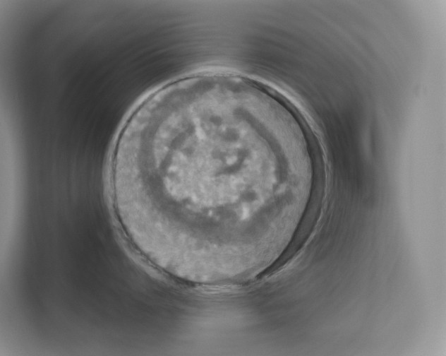 X0000111120864200908111018
