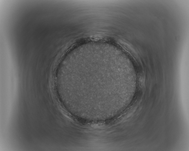 X0000111120865200908111017