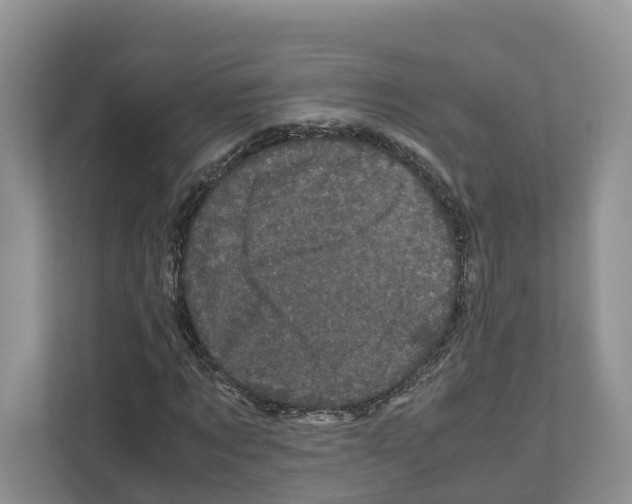 X0000111120869200908111017