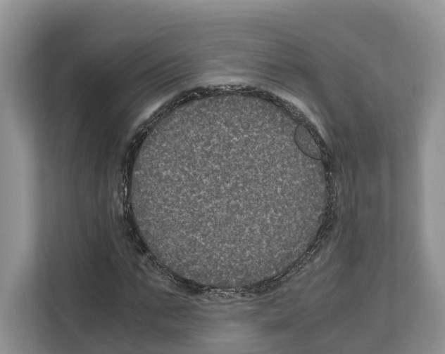 X0000111120871200908111017