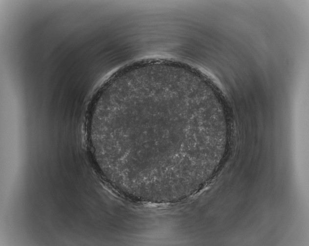 X0000111120872200908111017
