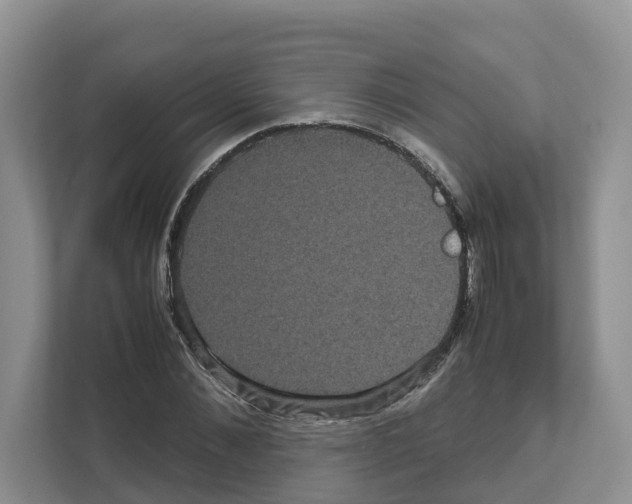 X0000111120876200908111017