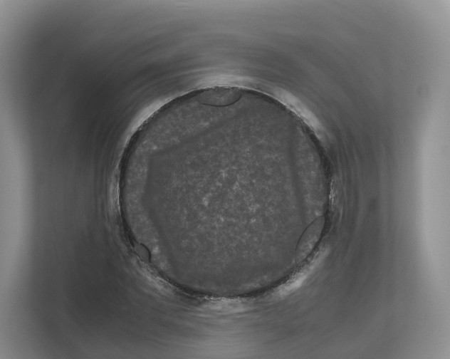 X0000111120877200908111017