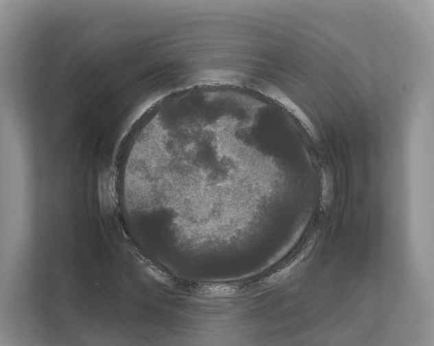 X0000111120878200908111017