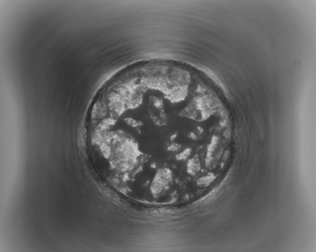X0000111120879200908111017