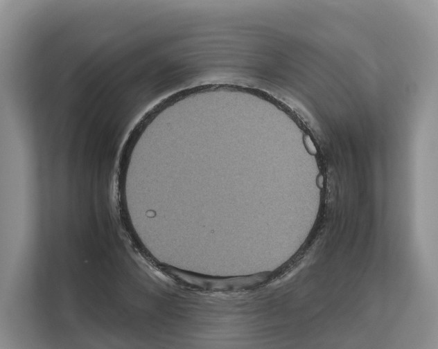 X0000111120880200908111017