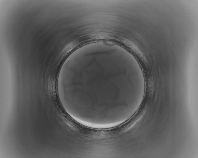 X0000111120881200908111017