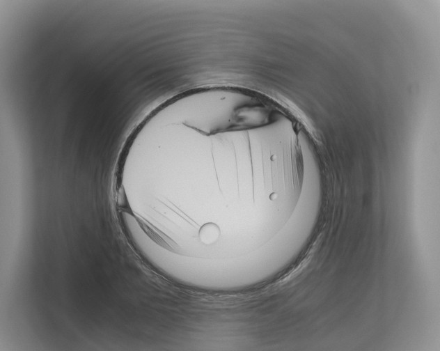 X0000111120885200908111017